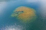 CSLAP Water Testing 2023